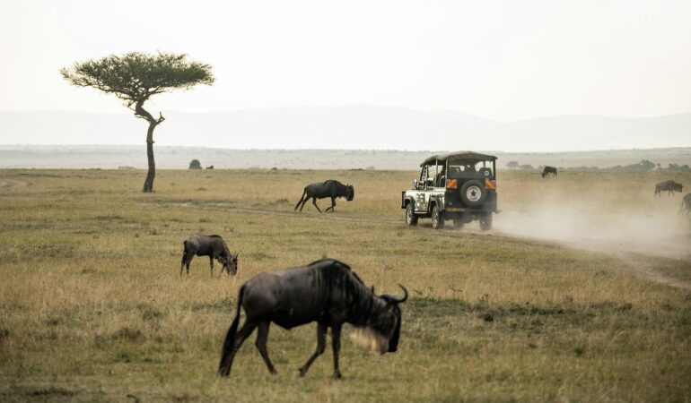Maasai Mara